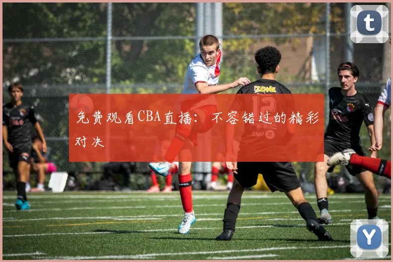 免费观看CBA直播：不容错过的精彩对决