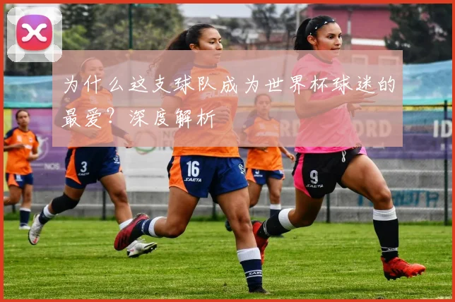 为什么这支球队成为世界杯球迷的最爱?深度解析