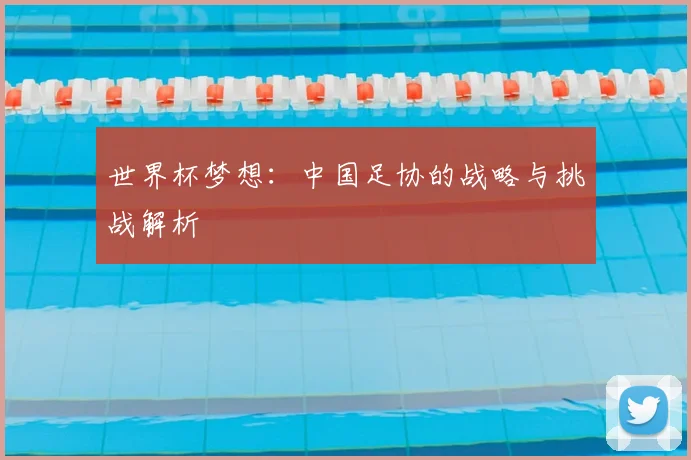 世界杯梦想:中国足协的战略与挑战解析
