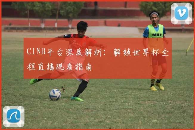 CINB平台深度解析:解锁世界杯全程直播观看指南