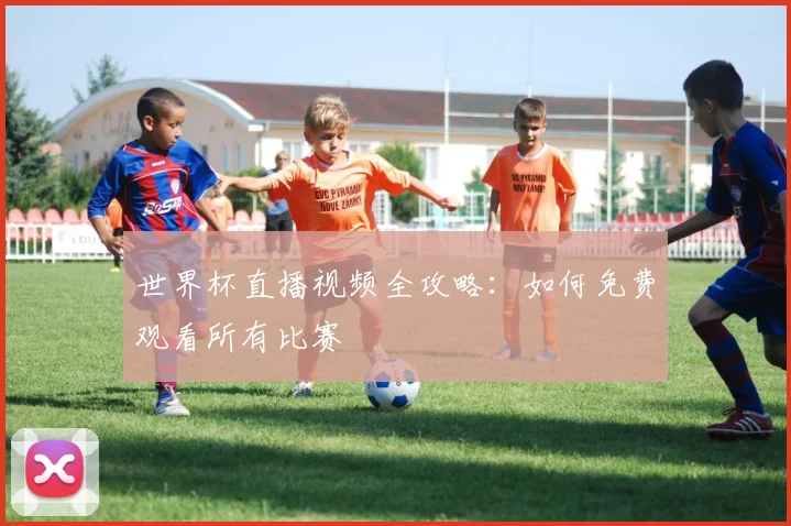 世界杯直播视频全攻略：如何免费观看所有比赛