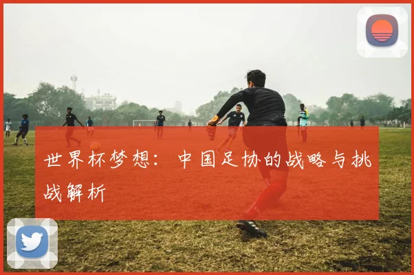 世界杯梦想:中国足协的战略与挑战解析
