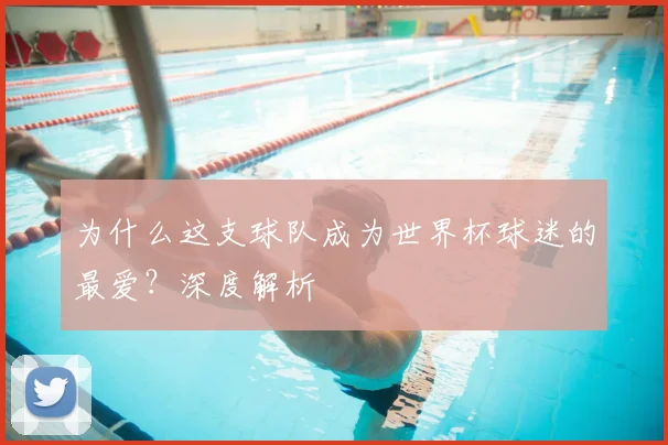为什么这支球队成为世界杯球迷的最爱?深度解析