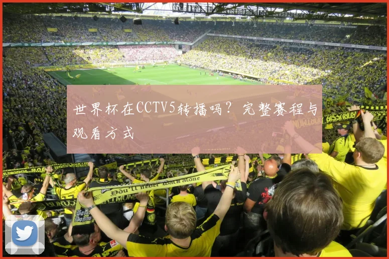 世界杯在CCTV5转播吗？完整赛程与观看方式