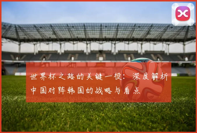 世界杯之路的关键一役:深度解析中国对阵韩国的战略与看点