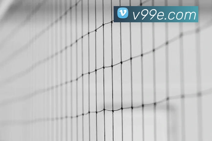 亚搏app注册官网平台生态图